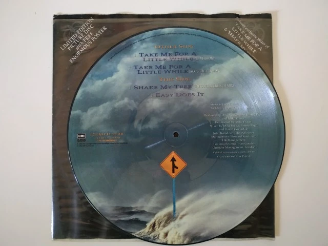 Coverdale/Page Shake My Tree