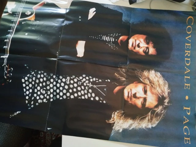 Coverdale/Page Shake My Tree