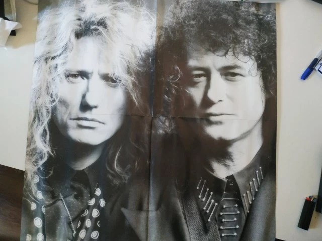 Coverdale/Page Shake My Tree