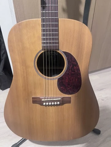 Martin DX1