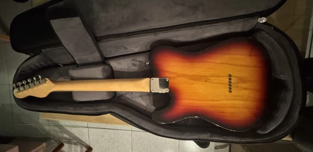 Haar Traditional Thinline Telecaster Custom Shop P90