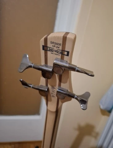 Ibanez SDGR