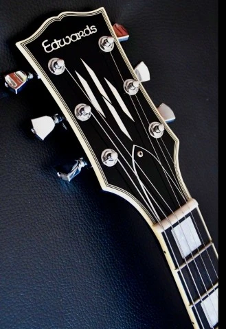 Edwards LP-95 Ctm
