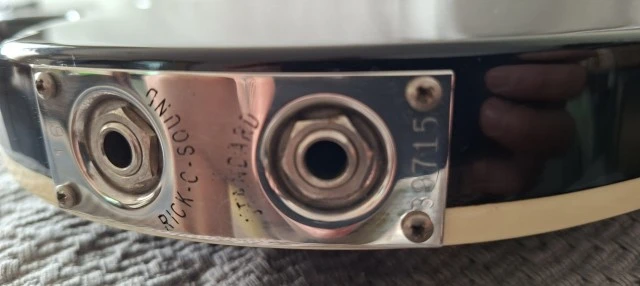 Rickenbacker 4003
