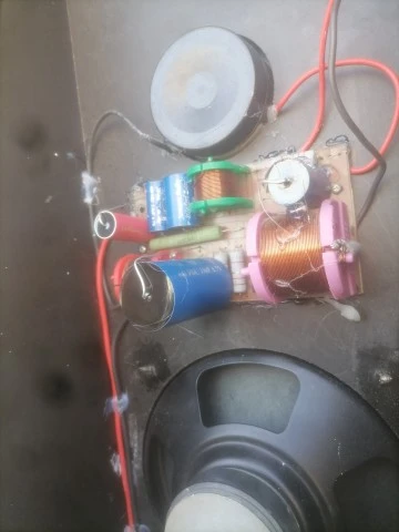 Roister Dipole 6