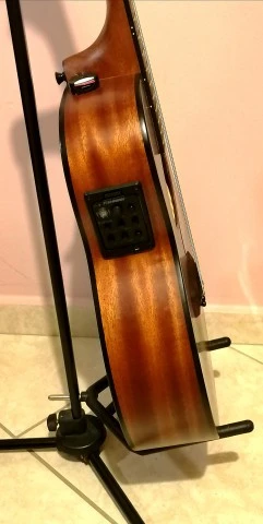 Harley Benton GS-Travel-E Mahogany