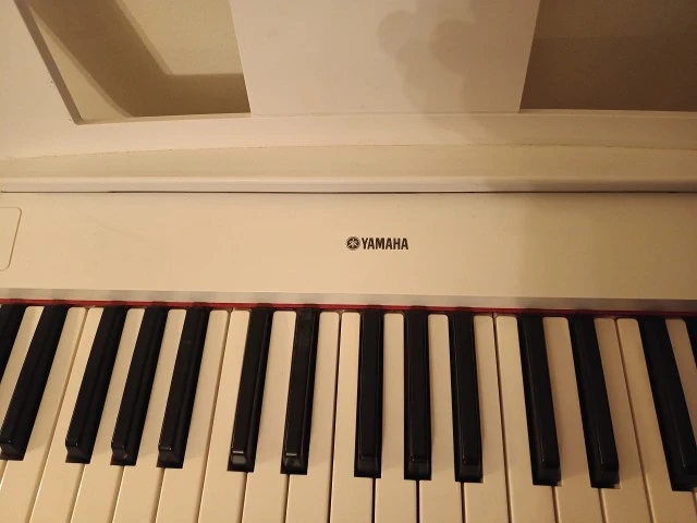 Yamaha Piaggero NP12