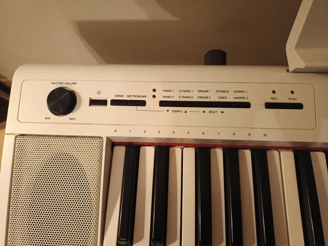 Yamaha Piaggero NP12