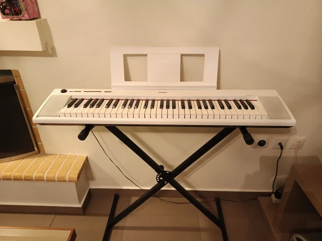 Yamaha Piaggero NP12