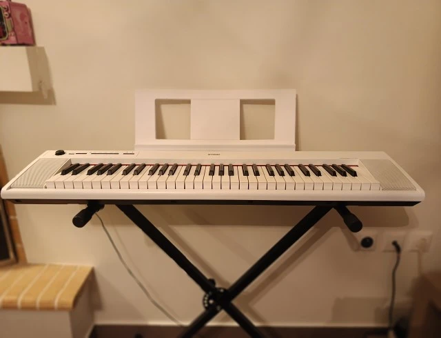 Yamaha Piaggero NP12