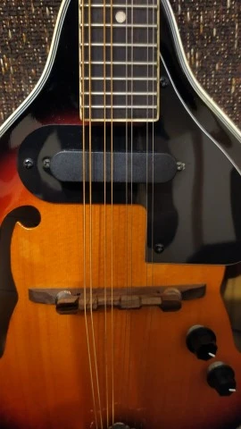 Harley Benton HBMA-50E