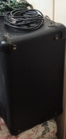 Marshall MG15DFX
