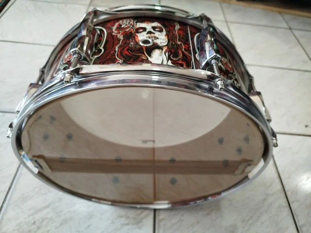 Pearl Export 14x5.5