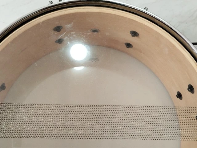 Pearl Export 14x5.5