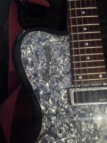 Godin Radiator