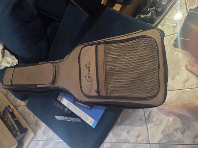 Godin Radiator