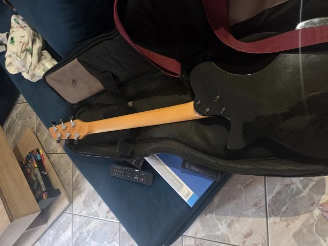 Godin Radiator