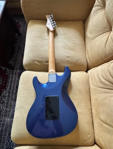 Sire Larry Carlton S5