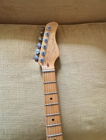 Sire Larry Carlton S5