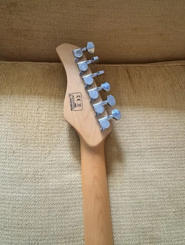 Sire Larry Carlton S5