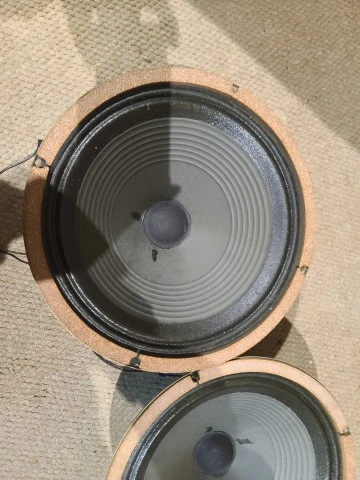 Ζεύγος Rola Celestion G12S Blackback 20W – Δεκαετία ’70 – Αυθεντικοί κώνοι 1777