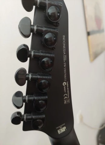 ESP LTD M-Black Metal