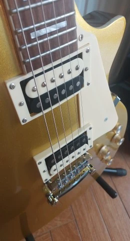 Stagg SEL-STD