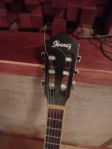 Ibanez AEF20