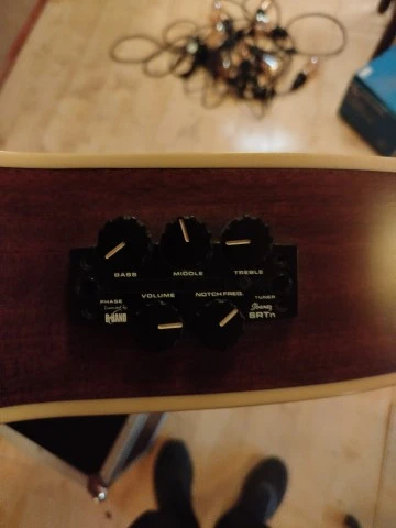 Ibanez AEF20