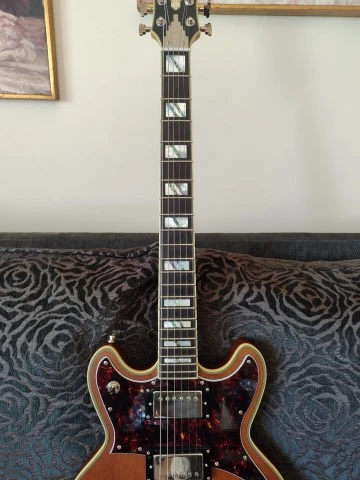 D'Angelico Deluxe Brighton