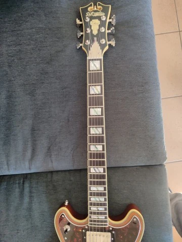 D'Angelico Deluxe Brighton