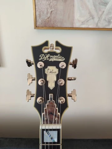 D'Angelico Deluxe Brighton