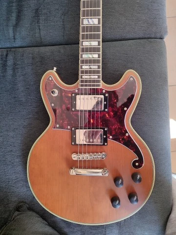 D'Angelico Deluxe Brighton