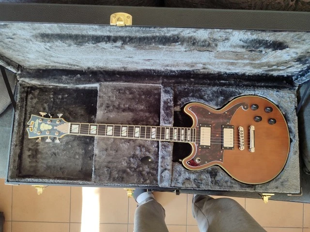 D'Angelico Deluxe Brighton