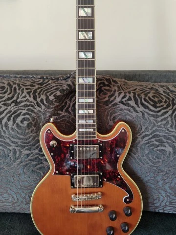 D'Angelico Deluxe Brighton