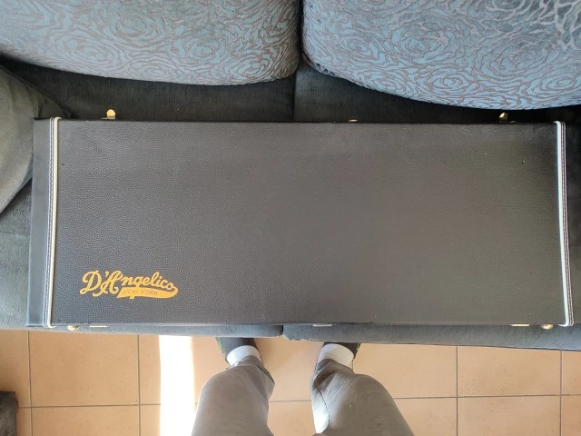 D'Angelico Deluxe Brighton