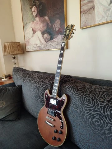 D'Angelico Deluxe Brighton