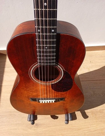 Eastman E1P LTD Bluesmaster Adirondack Top
