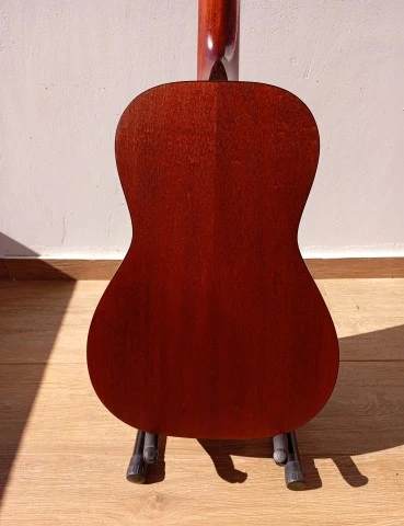 Eastman E1P LTD Bluesmaster Adirondack Top
