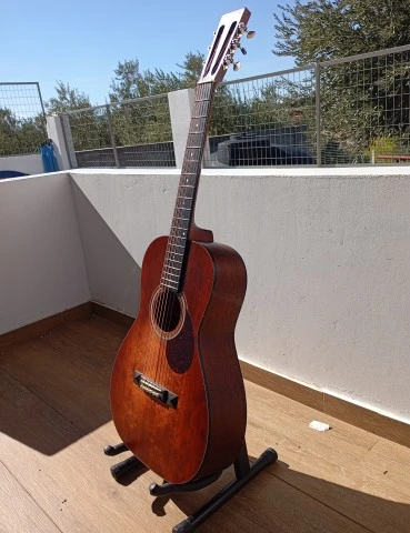 Eastman E1P LTD Bluesmaster Adirondack Top