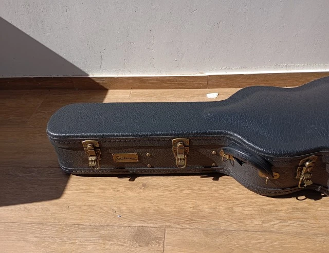 Eastman E1P LTD Bluesmaster Adirondack Top