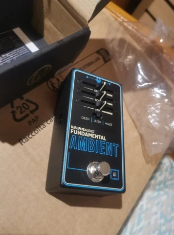 Walrus Audio Fundamental Ambient