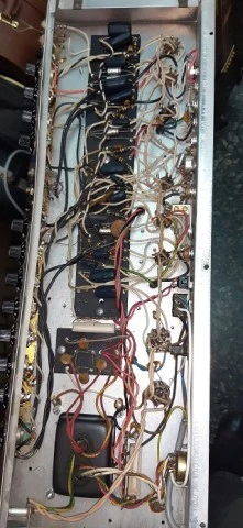 Fender Super Reverb