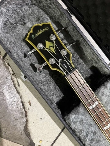Washburn WB-66 Idol Series