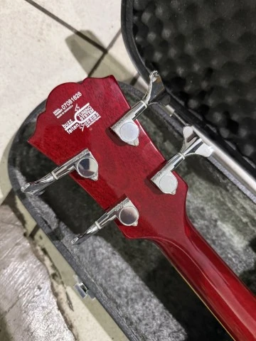 Washburn WB-66 Idol Series
