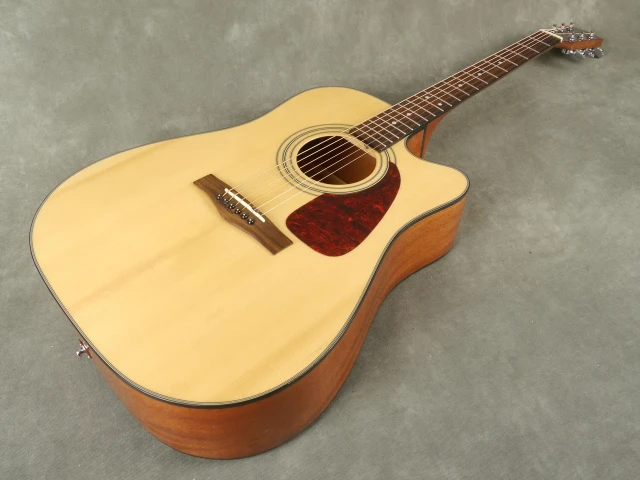 Fender DG14SCE