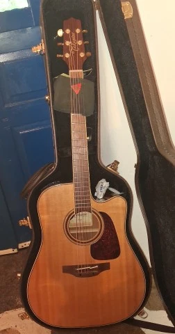 Takamine P4DC