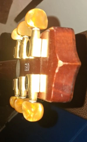 Takamine P4DC