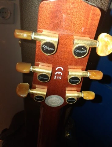 Takamine P4DC