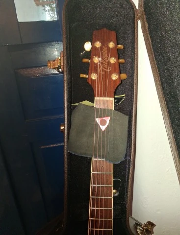 Takamine P4DC